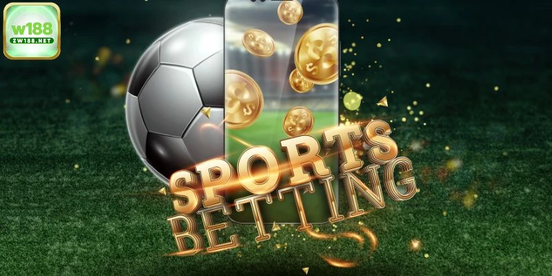 Đôi nét cơ bản về sảnh Saba Sports W188