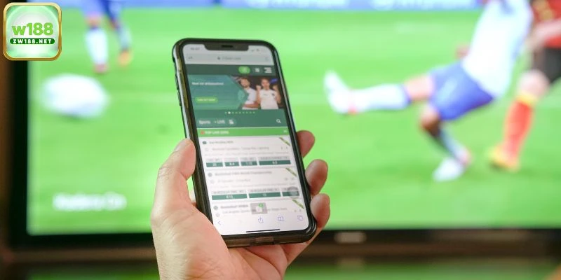 Giới thiệu sơ bộ về thể thao CMD W188